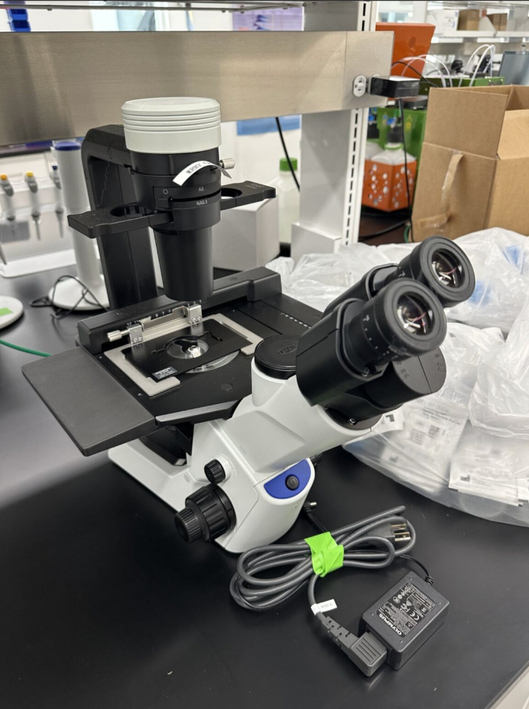 Image of Olympus CKX53 Inverted Microscope
